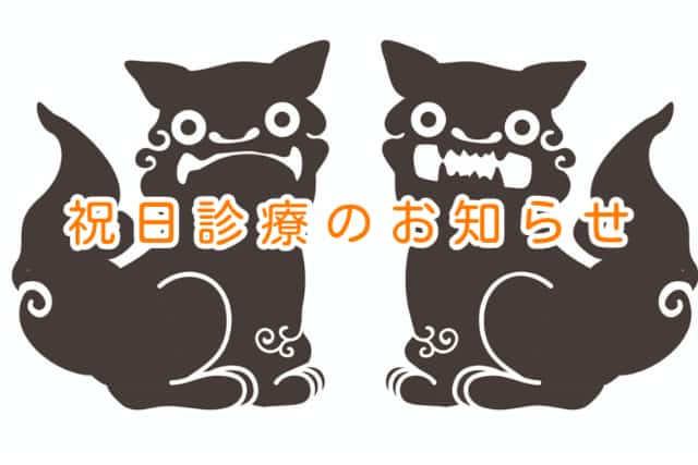 大阪市住吉区長崎はりきゅう接骨院の祝日診療の案内