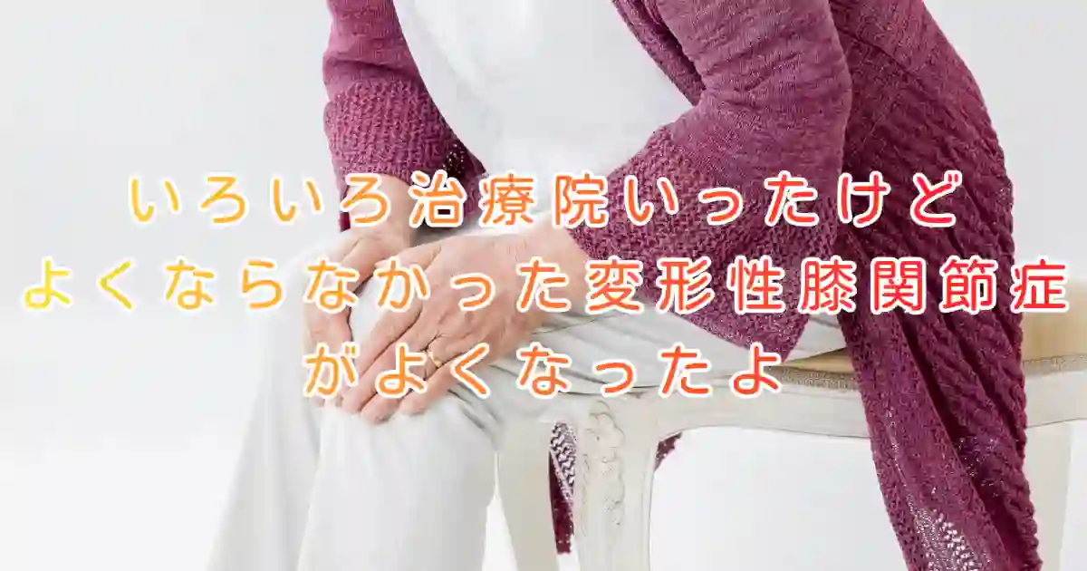 大阪市住吉区万代東の長崎はりきゅう接骨院のブログ画像