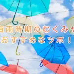 大阪市住吉区長崎はりきゅう接骨院のブログ画像
