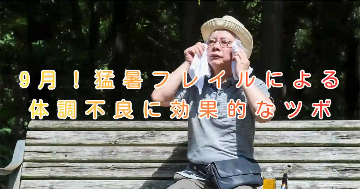 大阪市住吉区万代東の長崎はりきゅう接骨院のブログ画像